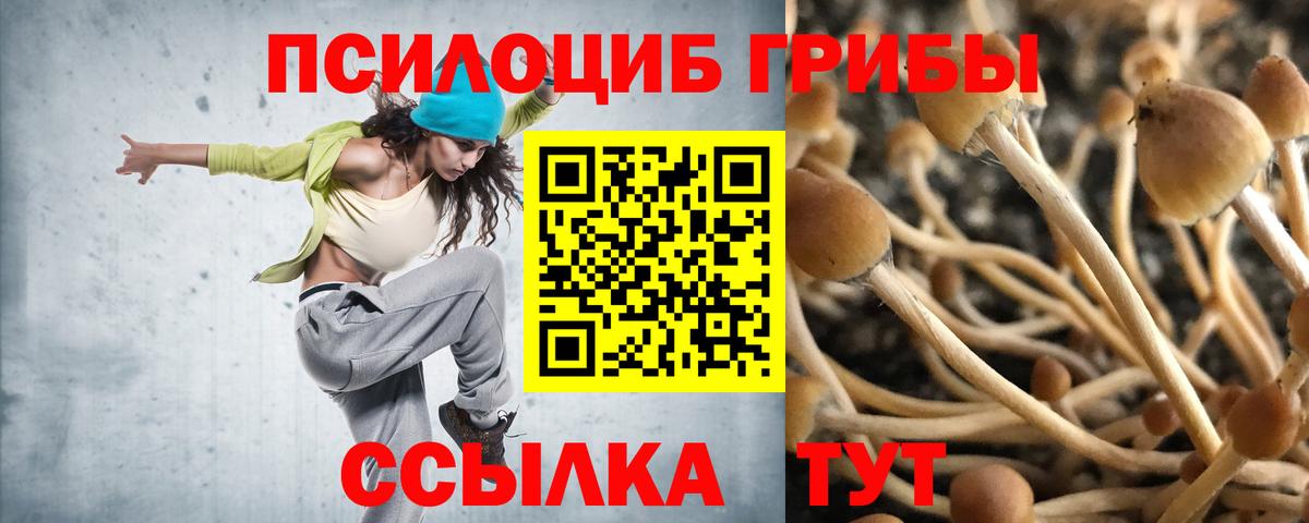 Георгиевск  Псилоцибиновые грибы MAGIC MUSHROOMS  Вход с VPN 